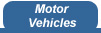 Tab to Motor Vehicle Recall Information
