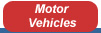 Tab to Motor Vehicle Recall Information